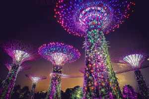 Garden by the bay at night