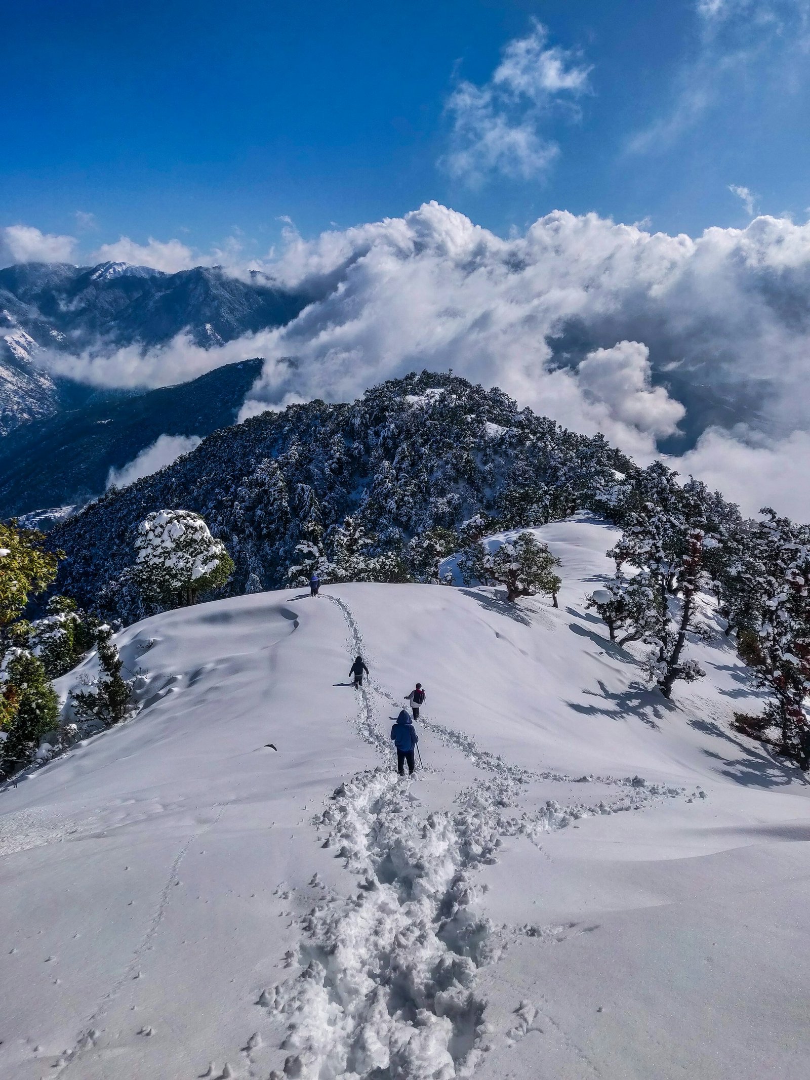 Himachal Pradesh landscape