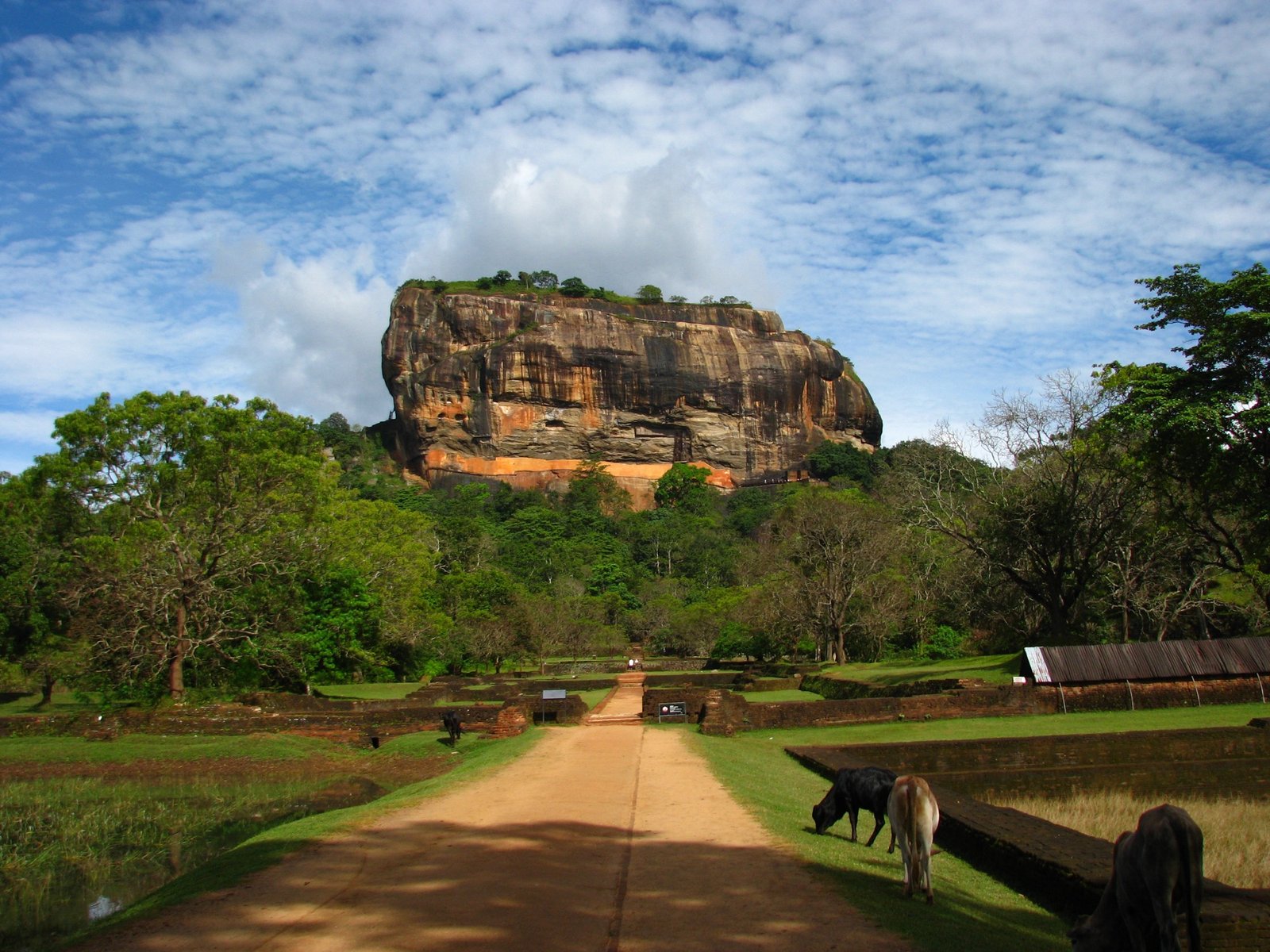 Sri Lanka travel landscape