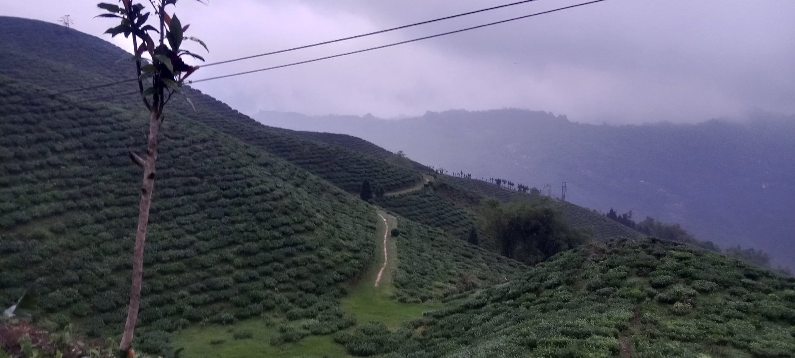 West Bengal landscape